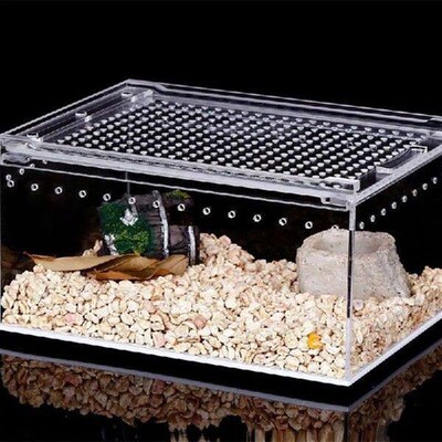 Acrylic Cage Breeding Box Terrarium Clear Feeding Habitat