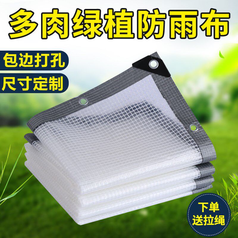 透明防雨布防水布窗户阳台遮挡雨围布防水防风篷布多肉PVC加厚