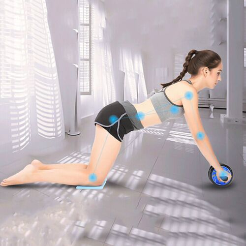 Abdominal Wheel Dual Double AB Roller Exercise Fitness Mute