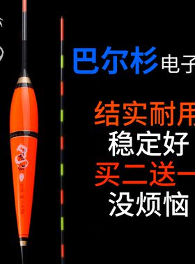 龙众夜光漂水无影夜钓电子漂大浮力大物浮漂鲫鱼漂鲤鱼浮标醒目