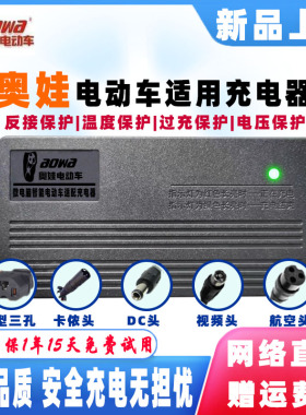 奥娃电动车智能充电器48V12AH60V20AH72V32AH84V96伏50AH铅酸电池