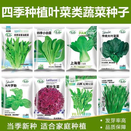 Four season leafy vegetables, seeds, potted cabbage, radish
