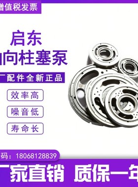 10.1..32...100.10.0CY1-1B轴向柱塞泵配油盘油泵配件