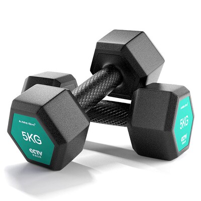 Mens Fitness Household Equipment Female dumbbell 10kg Set