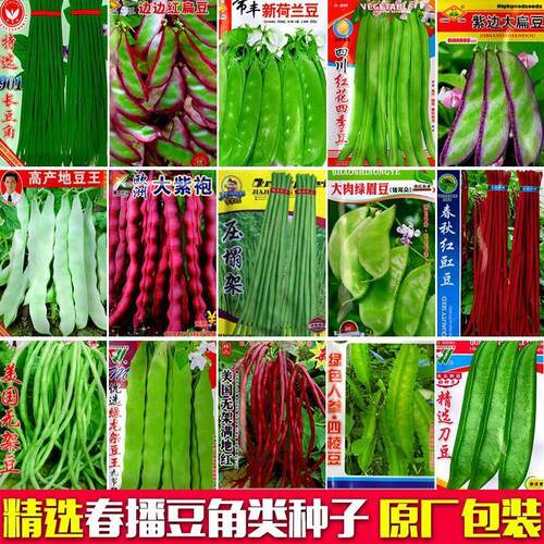 Vegetable seeds, long bean seeds, frame beans, kidney beans