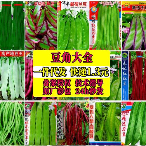 Four season vegetable seeds, long bean seeds, kidney beans,
