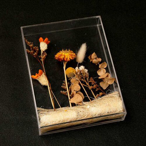 Ins Acrylic Transparent Photo Frame Forever Flower Dried Flo