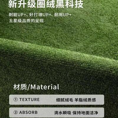 Floor Mat Entrance Doormat Floor Rug Anti-slip Door Mat