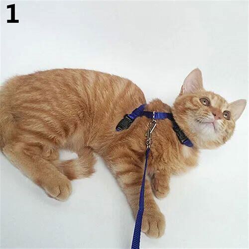 Dog Cat Collar Harness Leash Adjustable Nylon Pet Traction