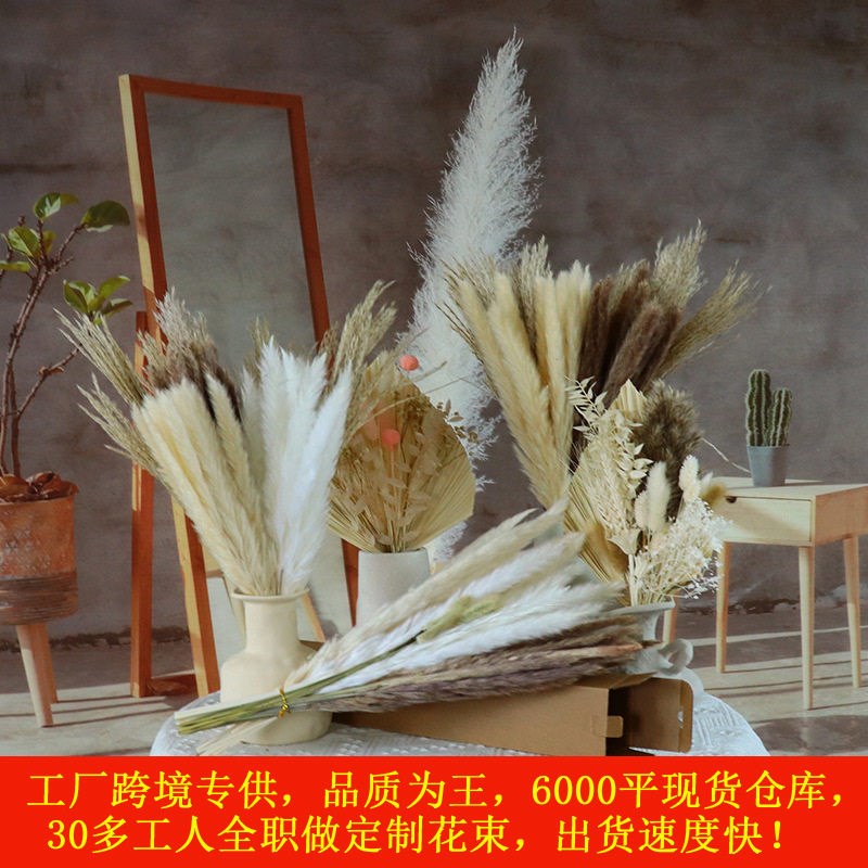 Small Reed Dried Flowers Living Room Party Decoration Photo图片