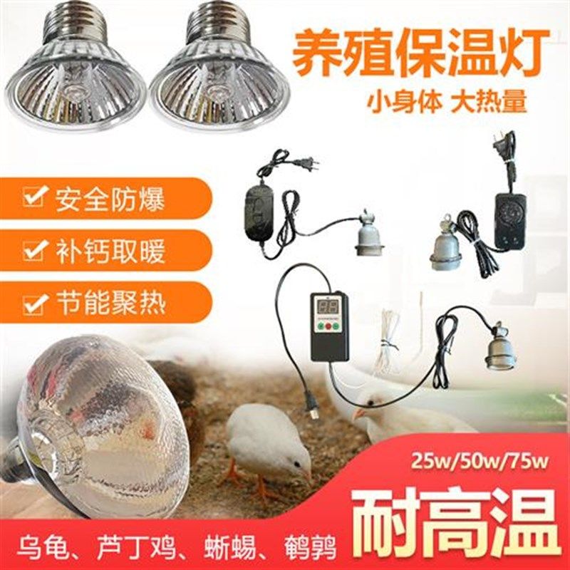 节能仔猪保温箱温控器恒温孵化箱开关芦丁鸡宠物鹌鹑乌龟取暖灯泡,畜牧/养殖物资,畜牧/养殖器械,淘宝优惠券,粉丝福利购,淘宝优惠卷