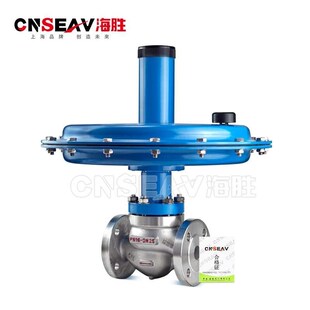 。ZZYVP-1自力式微压调节 氮封泄氮 带指挥器 调压 供氮