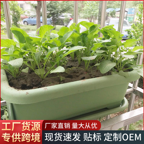 阳台种菜塑料长条花盆送托盘