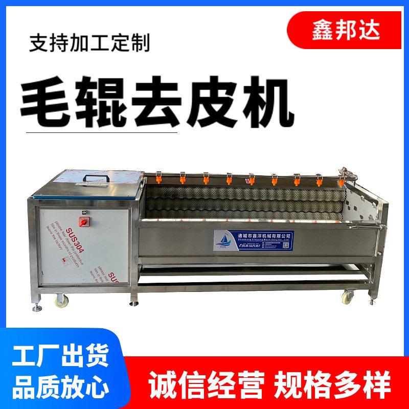 全自动生姜芋头清洗设备猪蹄猪头去黑炭清洗机器毛辊清洗去皮机