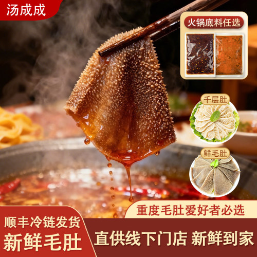 新鲜脆爽毛肚千层肚火锅食材套餐