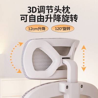 Chair Office Chair, Not Tired From Sitting For A Long Time,