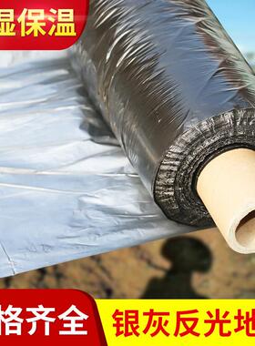 大棚专用多功能银灰色双面复合地膜农用银灰两面反光塑料薄膜
