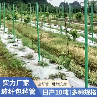 农用玻璃钢空心管树木支撑杆罗汉果遮阳网立柱葡萄架玻璃纤维管