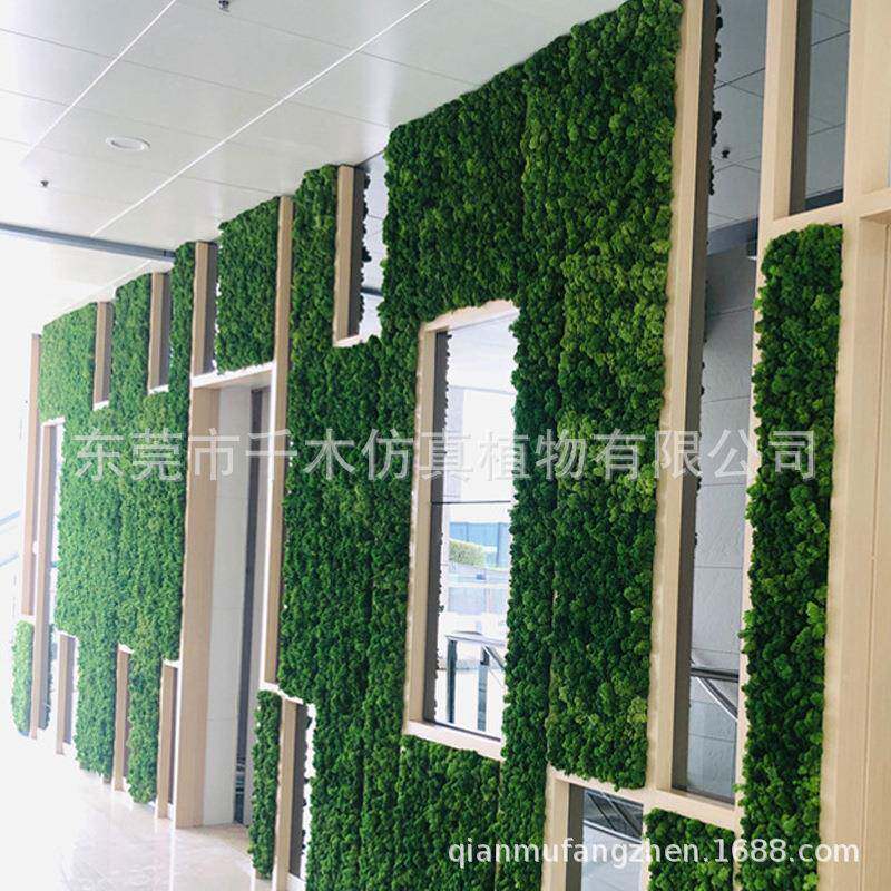 外仿真植植物室墙饰壁挂青苔藓草坪绿色物888场景内办公室前台装