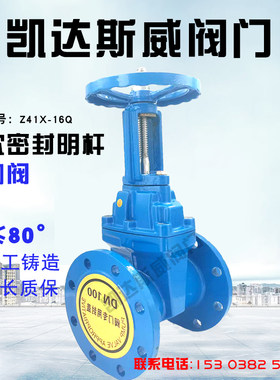 明杆软密封法兰闸阀Z41X-16DN50 65 100 125 150 200 250 300 350
