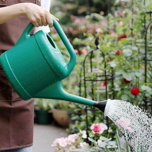 Pot for watering flowers water pot for raising flowers divin