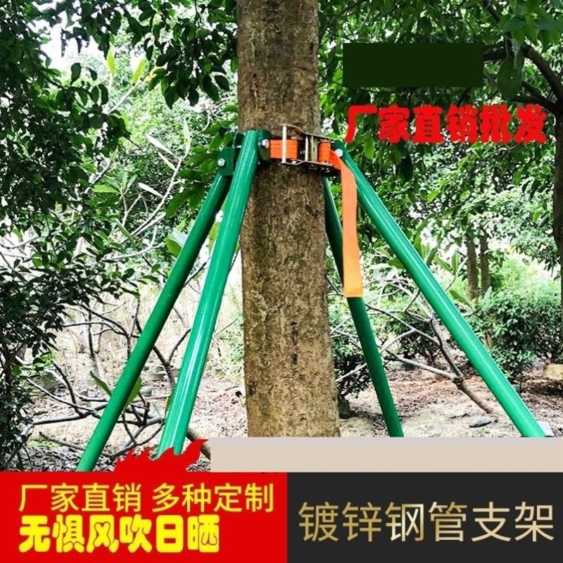 树木支撑架烤漆镀锌钢管园林绿化行道乔木支撑杆大树铁抱箍固定器,农用物资,苗木固定器/支撑器,淘宝优惠券,粉丝福利购,淘宝优惠卷