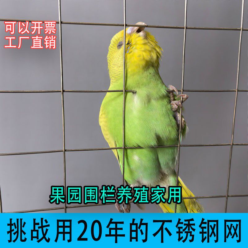 30不锈钢电焊网养殖网围栏防鸟钢丝网筛网防逃网电焊铁丝防护网,农机/农具/农膜,农用防鸟网,淘宝优惠券,粉丝福利购,淘宝优惠卷