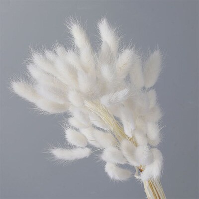 Natural Dried Flowers Lagurus Ovatus Grass White Black Grey