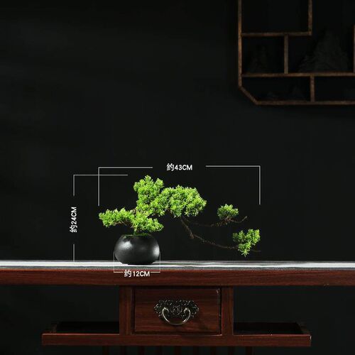 Real Pine Bonsai Lohan Pine Flower Pot Home Welcome Pine Rea