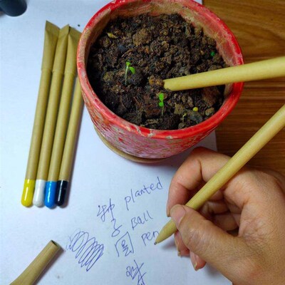 50 PCS Bamboo Plant Stick Plant Support Flower Stick Orchid