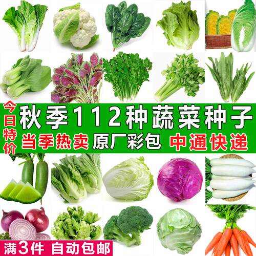 Four Seasons Vegetable Seeds Balcony Farmland Planting Vege