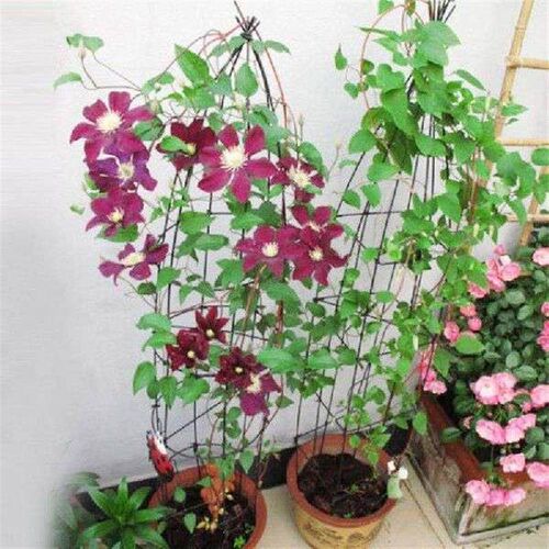 Plant Ties Soft Twist Ties Flexible Garden Ties Supply