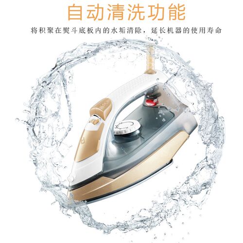 Electric Iron Steam Ceramic Soleplate Clothes Steamer