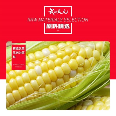 Wuhan Tianyuan tender corn nest bait bait fish bait for wild