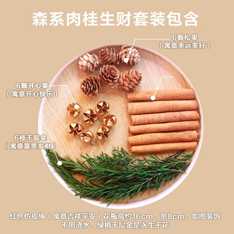 肉桂生财瓶摆件招财花瓶diy玻璃客财厅位乔迁新居搬电视柜办公室,家居饰品,香薰摆件,淘宝优惠券,粉丝福利购,淘宝优惠卷