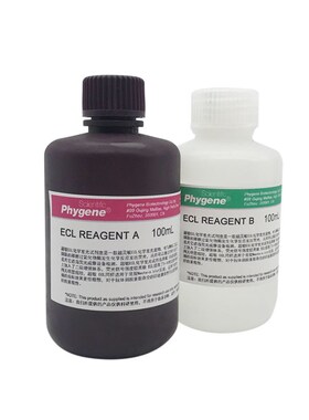ECL超敏化学发光试剂 ECL底物显色液 科研实验 PH03 PHYGENE