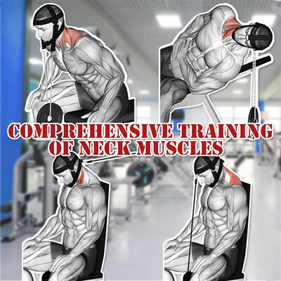 New Head Neck Harness for Weight Lifting Training Diverse