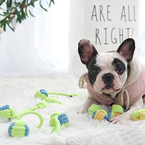 13PCS Pet Dog Toys for Large Small Dogs Toys Clean Teeth Cot