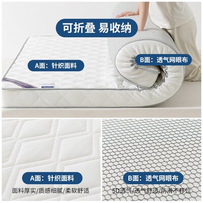 New Upgraded Latex Matress Rental House Home Floor Sleeping