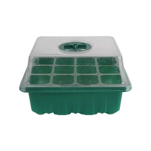 Wolf herder cutting and rearing seedg hole tray succulent