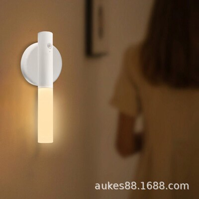 Human Body Sensing Night Light Magnetically Absorbed Recharg