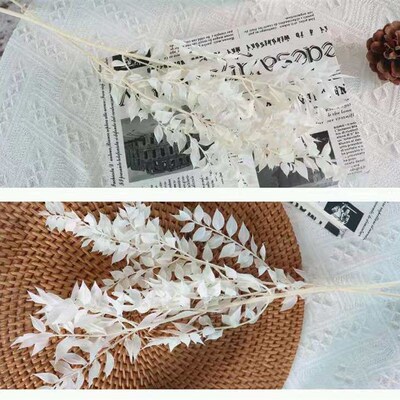 Bleached Fugui Leaf Eternal Flower Dried Flower  Material We