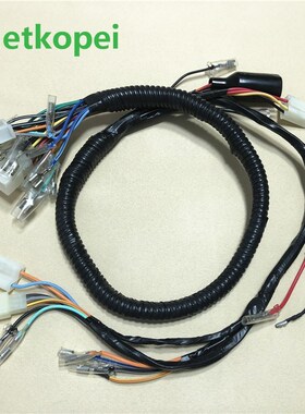 motorcycle Wire Cable Assembly AX100 Full vehicle Cable Line