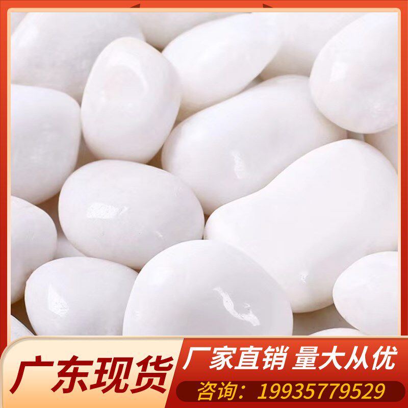广东白色雨花石鱼缸造景石头庭院花盆铺地石子装饰精抛天然鹅卵石