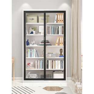 家用轻奢推拉移门书柜落地防尘玻璃门展示柜客厅书房铁艺储物带锁