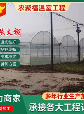 锡NQX厂业家薄无连栋膜温室大棚骨架内外遮阳简易现代农种植大棚