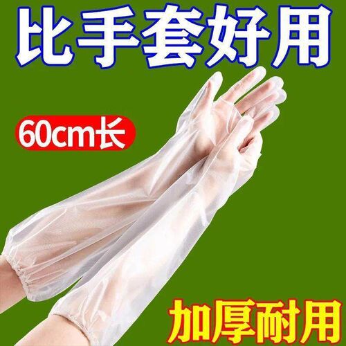Thickened Long-Arm Disposable Gloves for Women - Clear House