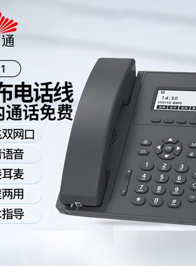 亿家通Sip电话网络电话机无线局域网座机IP301酒店电话 ip网络电