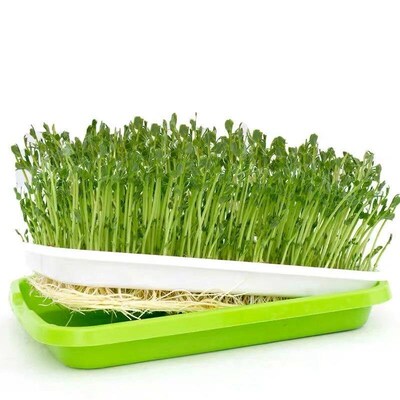 Seed Sprouter Tray Double Layer Soilless Culture Pot Vegetab