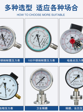 耐震不锈钢法兰式隔膜压力表YTP-100MF/ML衬四F耐腐钽片非标